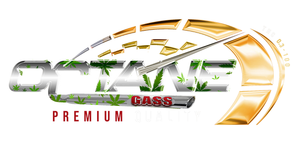 Octane Gass 93